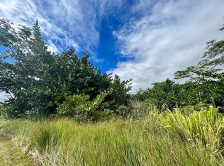 Beach Rd, Keaau, HI 96749