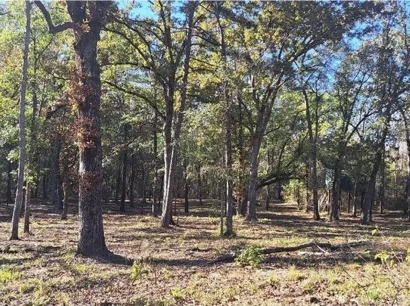 County Road 4147, Lindale, TX 75771