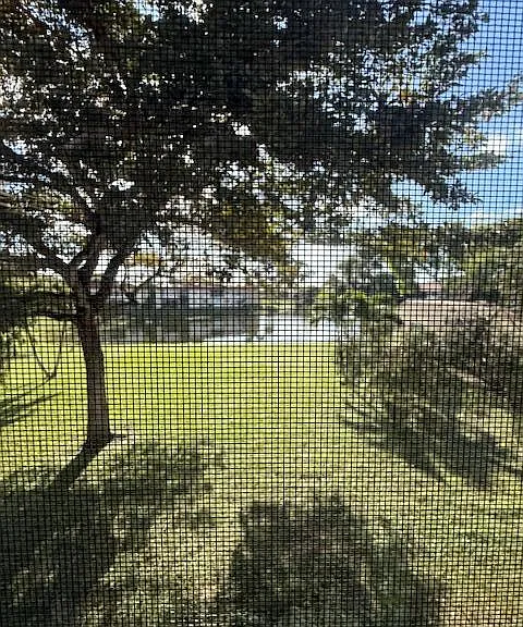 321 Lake Evelyn Dr — Photo 10