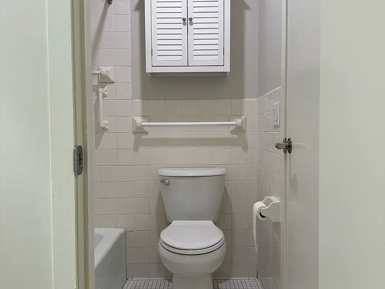 Master Bathroom - Shower and Toilet Room