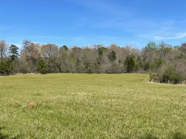 626 Haynes Chapel Rd, Pelahatchie, MS 39145