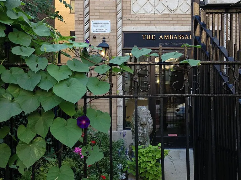 The Ambassador — Photo 14