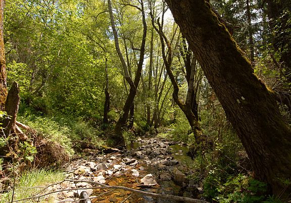 4th image of 8112 Anderson Valley Rd