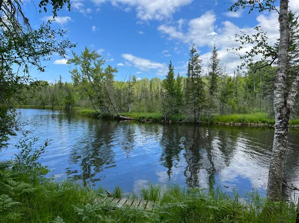 7783 Riverbend Dr, Onaway, MI 49765