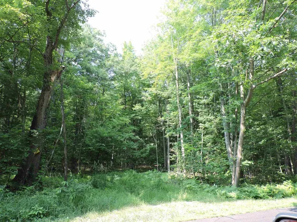 Lot A 40 Acres DEWEY DRIVE, Stevens Point, WI 54482