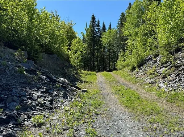 62 De La Falaise St, Edmundston, NB E3V 0C4