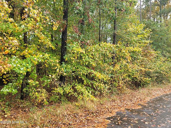 2nd image of Lot #17 Dogwood Trail LOT 17