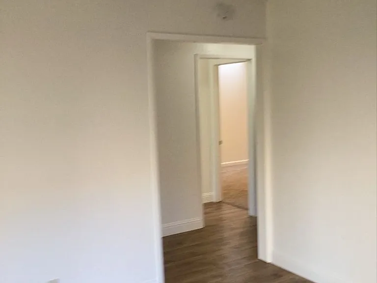1013 Meier Drive — Photo 4