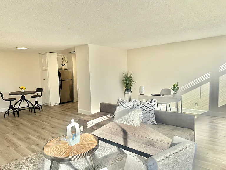 Large living room and kitchen