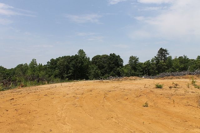 2nd image of 00 Mazeppa