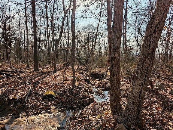 3rd image of 0 E Lee Hwy Hwy