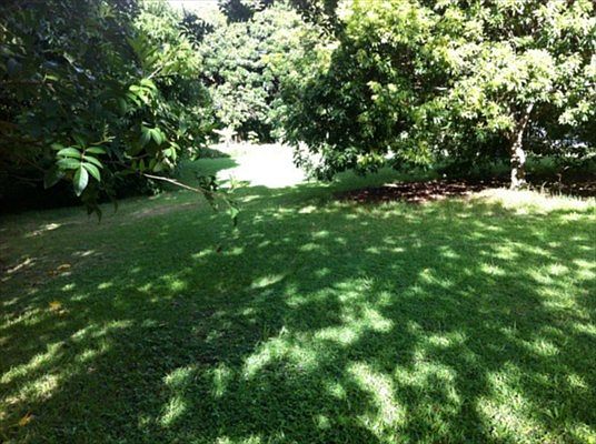 2nd image of 3479 Lawailoa Ln #5