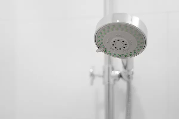 Rented by Compass | media 38