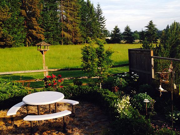 Back yard 