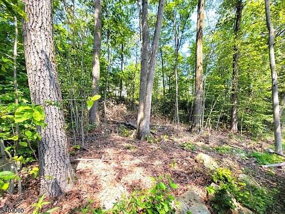 2nd image of 0 Kresson Rd