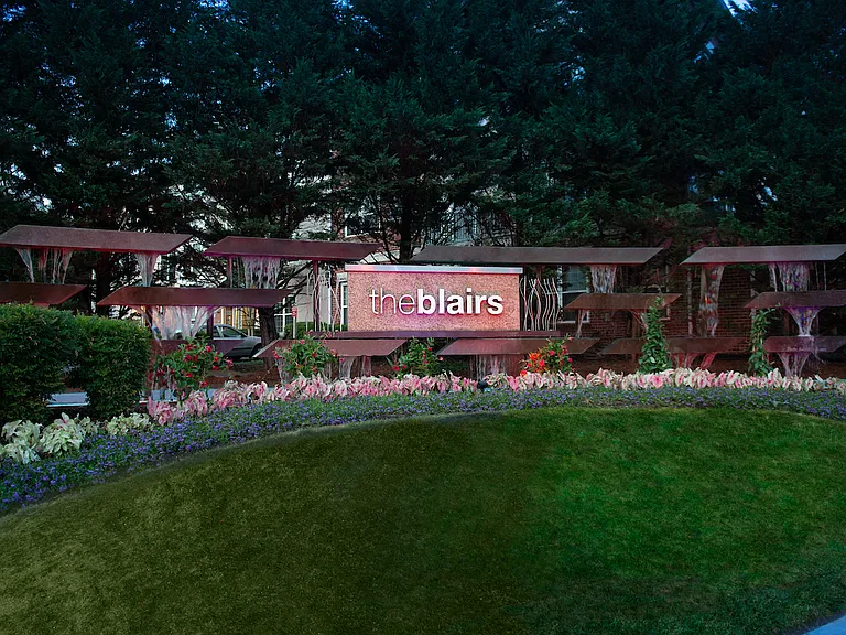 The Blairs — Photo 26