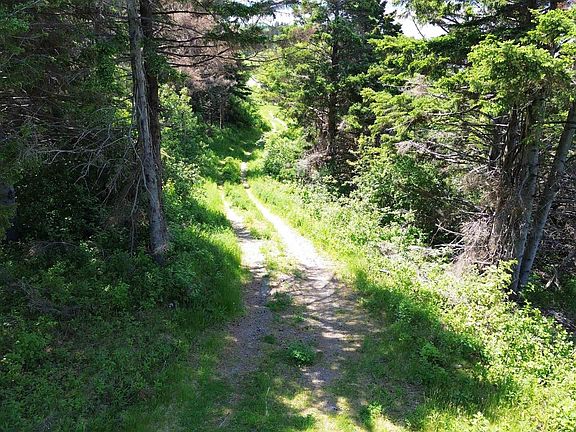 5th image of 3166 Highway 19