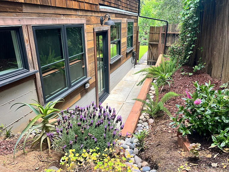 Side yard with lavender, jasmine, blueberry and raspberry bushes, among other ferns and succulents.