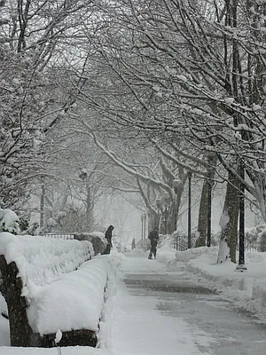 Sold by Corcoran | media 21