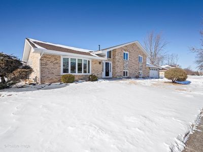 14138 Terry Dr, Orland Park, IL, 60462