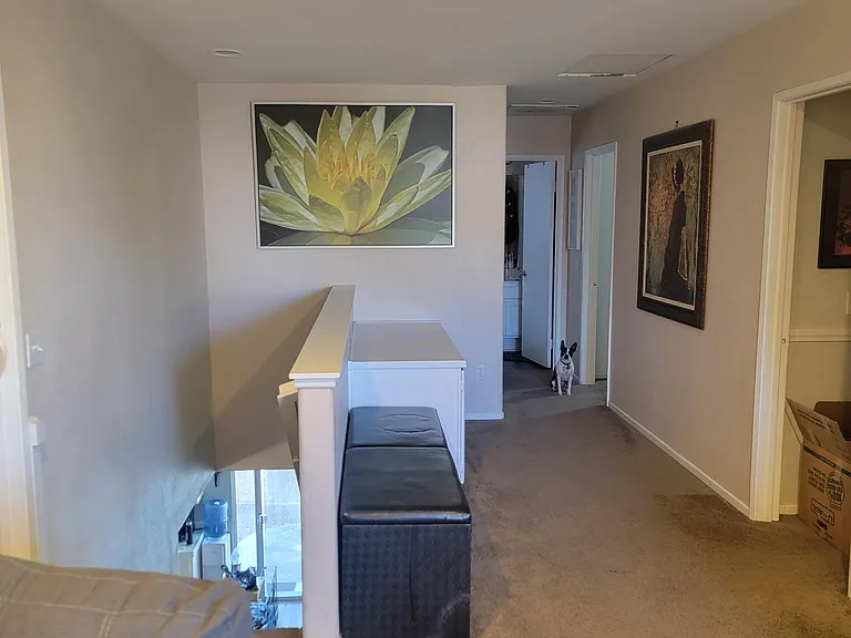 4753 Ventana Way — Photo 27