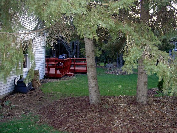 4th image of 1047 Pebblebrook Ln