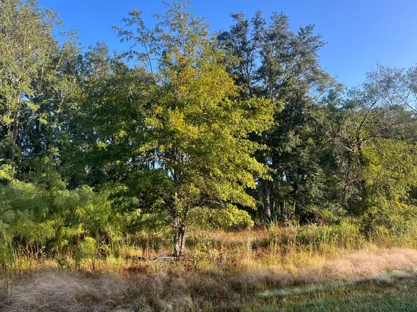 NW 147th Street Jasmine Com, Lake City, FL 32025