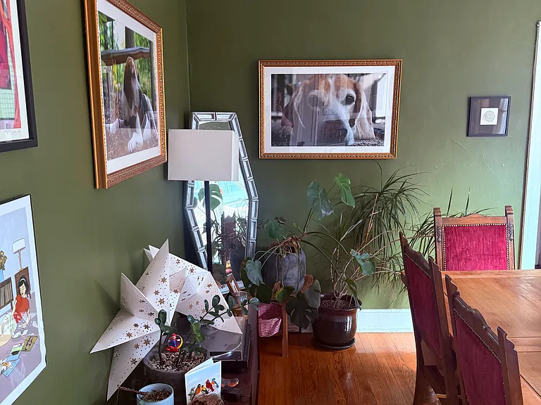 6219 N Hermitage Ave #1 — Photo 5