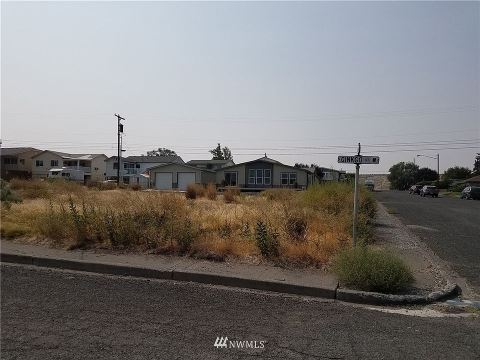 1st image of 0 N Ginkgo