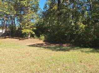 185 Amber Ln, Livingston, TX 77351