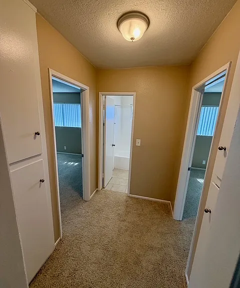 1009 Seabreeze Dr — Photo 10