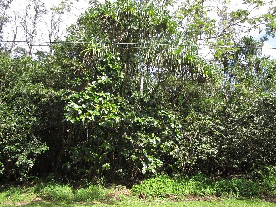 1st image of S Moana St Lot 1295
