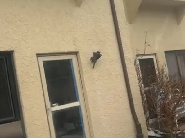 7601 Crittenden St APT E8, Philadelphia, PA 19118