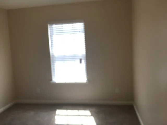 298 Willow Point Cir — Photo 14
