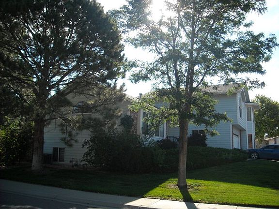 2nd image of 97 Ironweed Dr