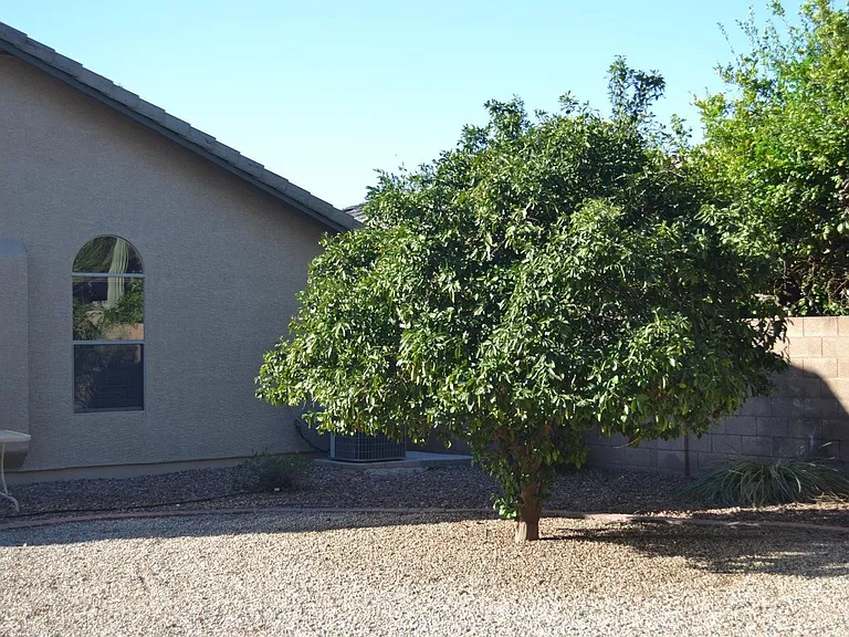 8240 E Obispo Ave — Photo 12