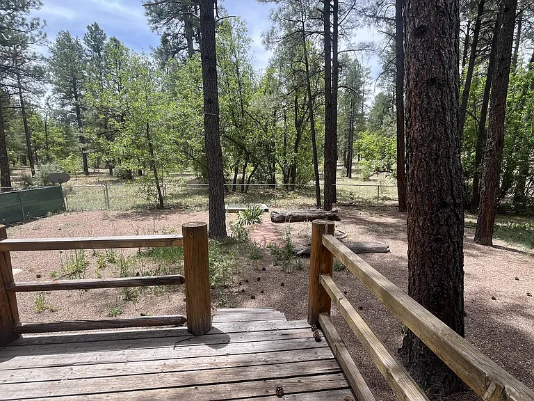 2825 Pinon Pine Dr — Photo 15