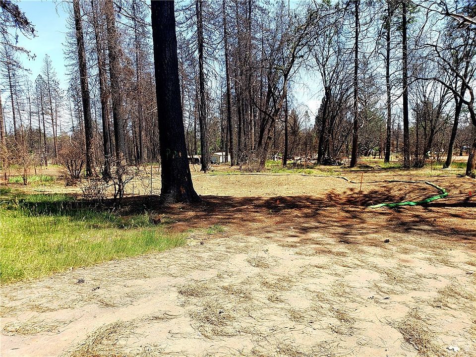 2nd image of 1318 Deodara Way