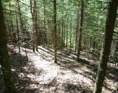 2nd image of 6 Acres Hanson Road