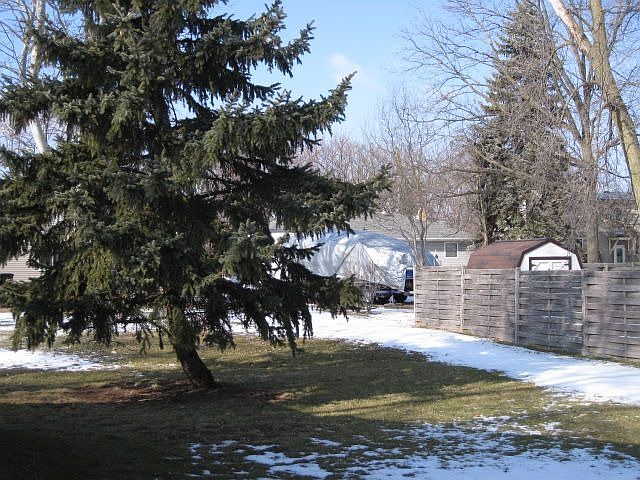 Backyard view