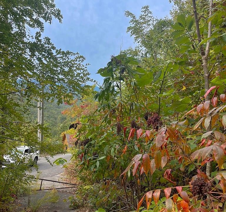 1st image of 1271 Appalachian Ln Lot 6