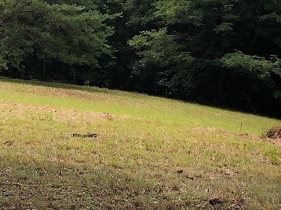 2nd image of Chatuge Woods Dr