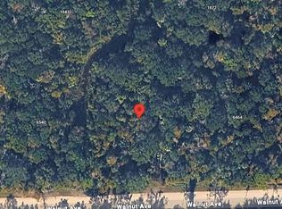 6502 Walnut Ave Lot 16, Bunnell, FL 32110