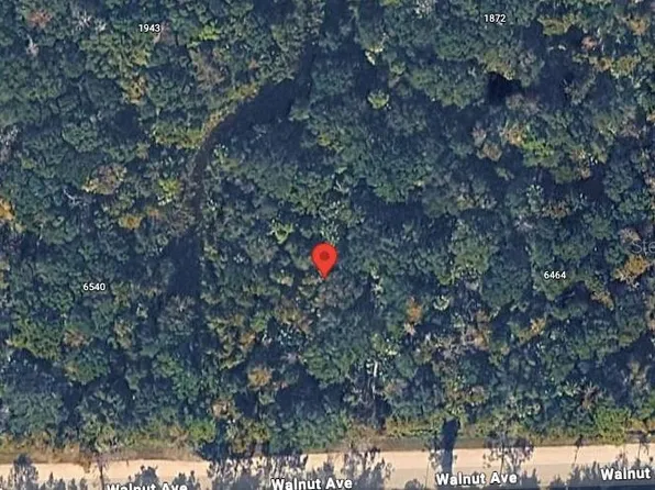 6502 Walnut Ave Lot 16, Bunnell, FL 32110