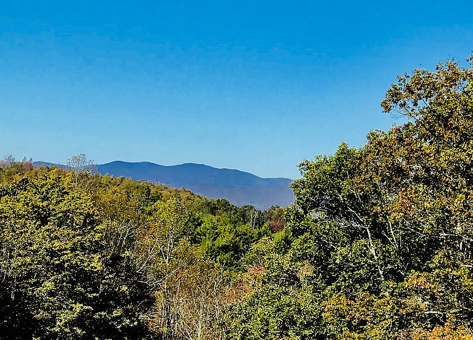 More photos available online