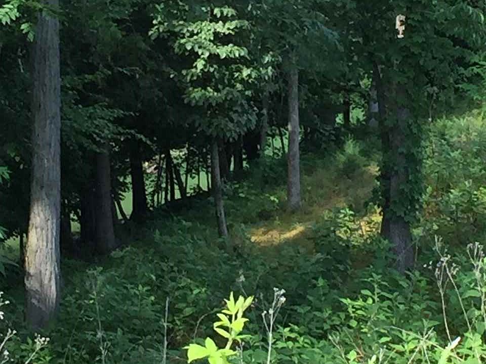 2nd image of 1009 Cove View Ln