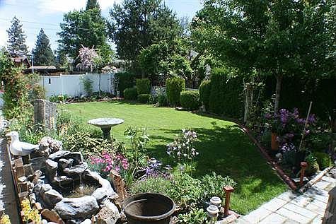 looking out from patio