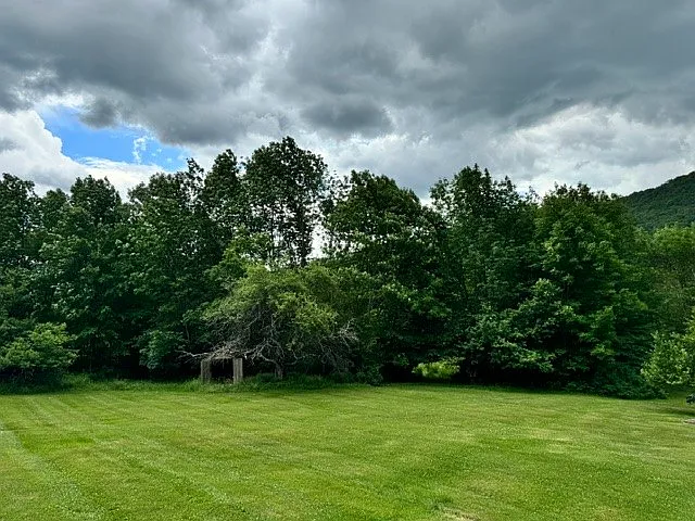 228 Staab Rd — Photo 3