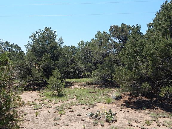 2nd image of LOT 17 Block 2 Pinon Hills Estates 1 #1