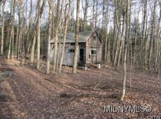 4 Ac Hadcock Rd, Stratford, NY 13470